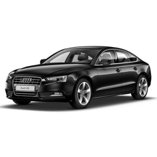 Tapis de voiture Audi A5 (2009-2011)