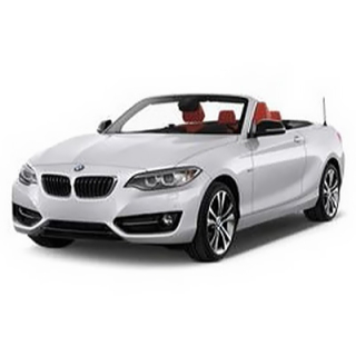Tapis de voiture BMW F22 2-Series (2013-…)