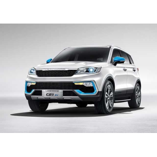 Tapis de voiture Leopaard CS9EV (2017-…)
