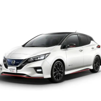 Tapis de voiture Nissan Leaf (2017-…)