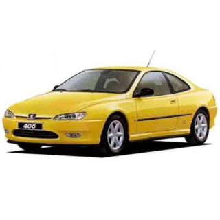 Tapis de voiture Peugeot 406 (1997-2001)