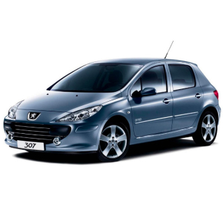 Tapis de voiture Peugeot 307 (2001-2005)