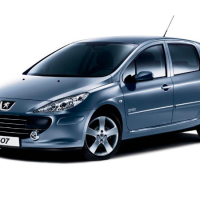 Tapis de voiture Peugeot 307 (2001-2005)