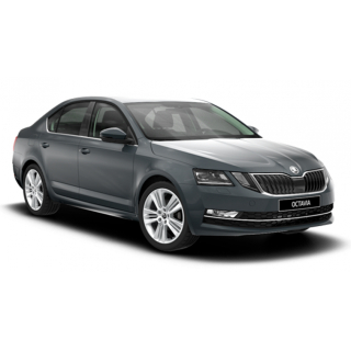 Tapis de voiture Skoda Octavia A7 (2017-2019)