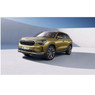 Tapis de voiture Skoda Kodiaq MQB (2024-...)